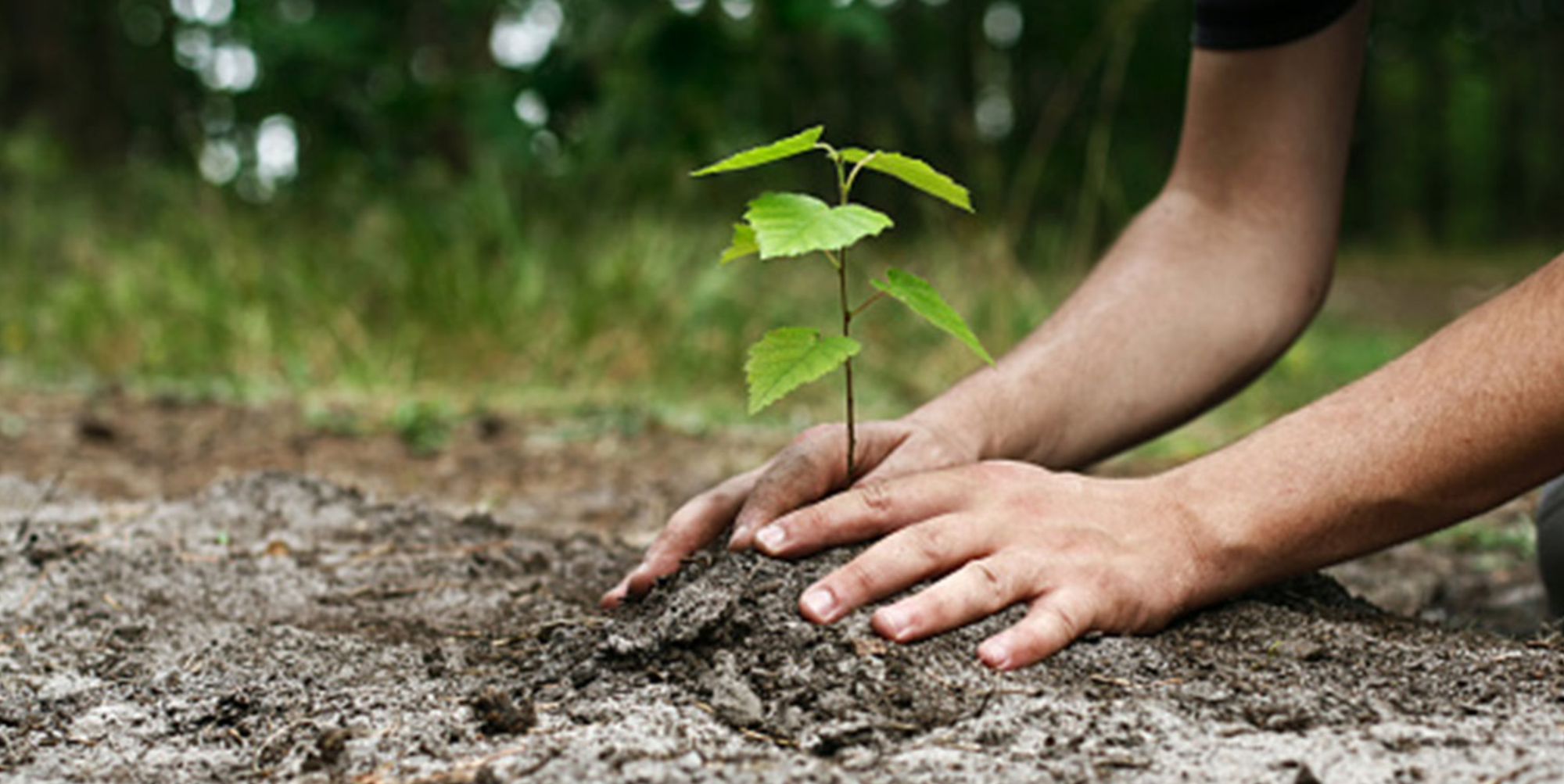 Carbon Neutral: What does it mean?