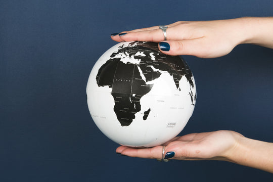 The Sustainable Development Goals or SDGs