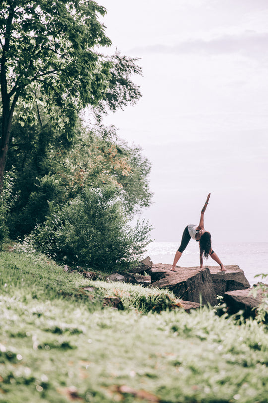 Health & Wellness