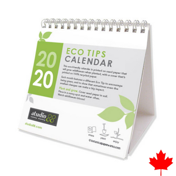 Seed Paper Calendar