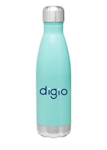 Stainless insulated Bottle
